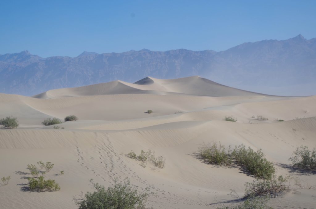 Mesquite Flat Sand Dunes in Death Valley