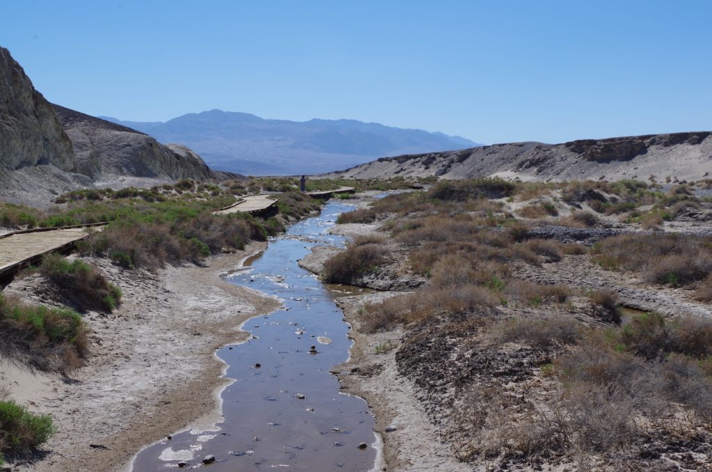 Salt Creek, the home of the Pupfish