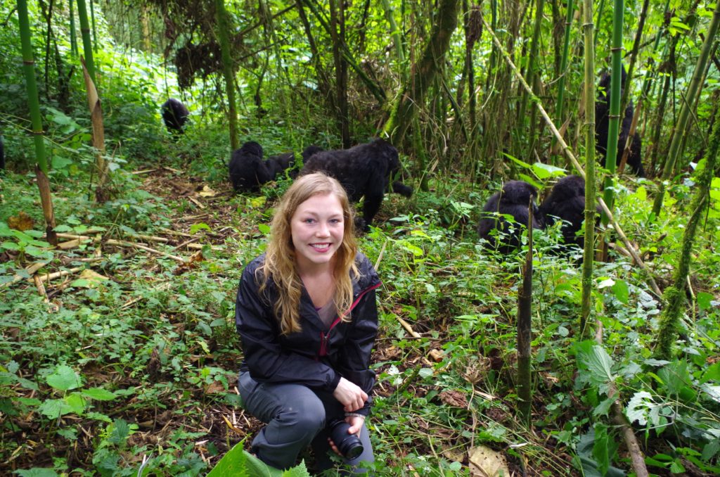 Mountain Gorillas in Rwanda 2014