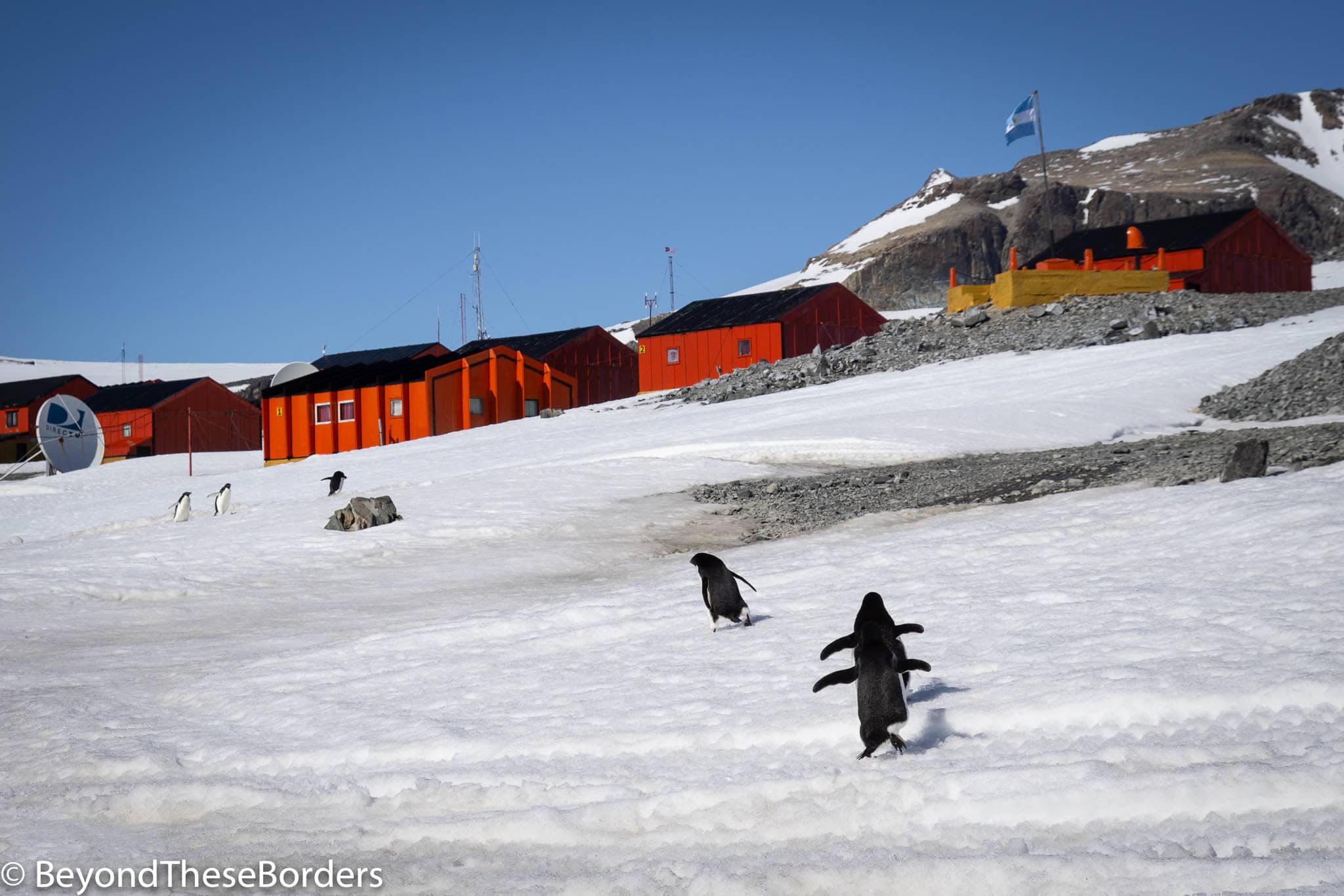 Antarctica: Cruising to the final continent with Hurtigruten - Beyond ...