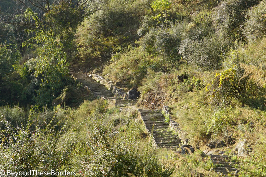 Endless stone stairs surrounded by trees and shrubs.