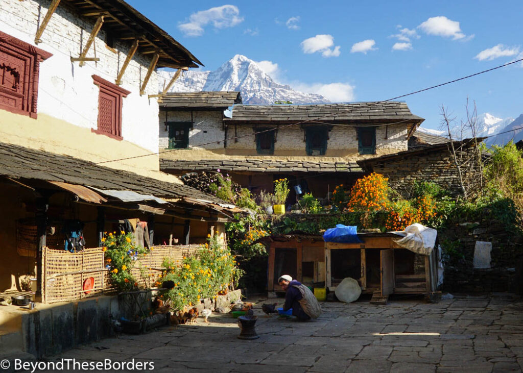 A man in front of his home tending to his chickens.  The peak of the mountain called Fishtail, visible over the top of the next door home.