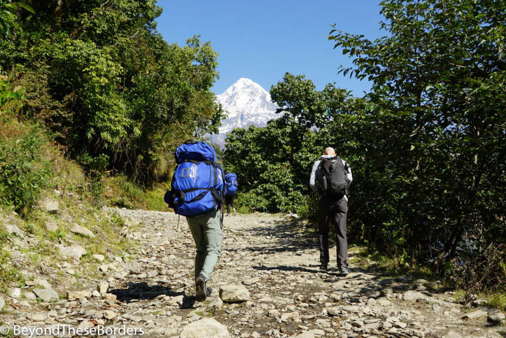 Hiking to Annapurna Base Camp day one.  Hiking up a rocky road with a snow covered tip of a mountain peaking out from the trees ahead.