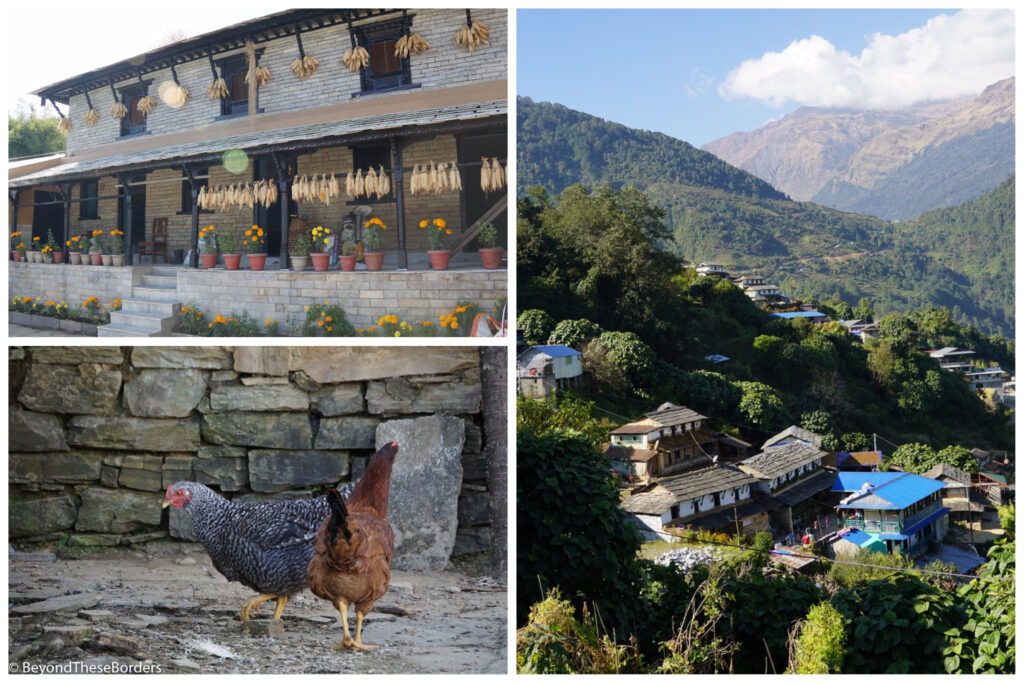 Views around the village.  Corn hanging to dry around a building porch, chickens in front of a stone building, and building nestled in the green hills.