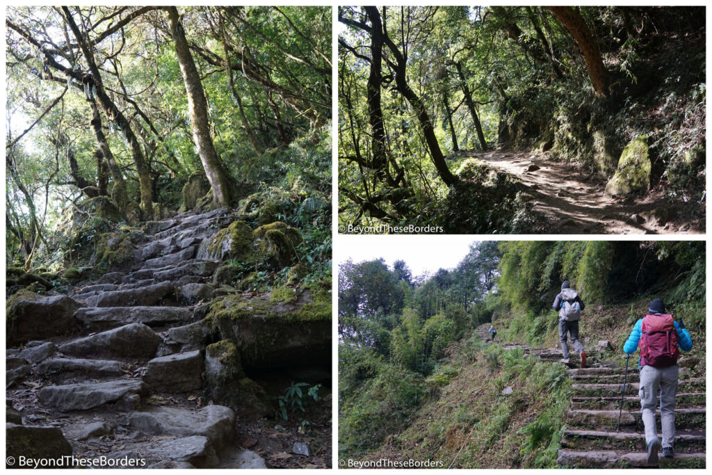 3 photos:  1 Stone jumble of steps leading up into the woods.  2:  Dirt trail leading though shaded woods.  3:  Hikers on stairs leading up and around a bend with trees in the distance and to the right of the trail.