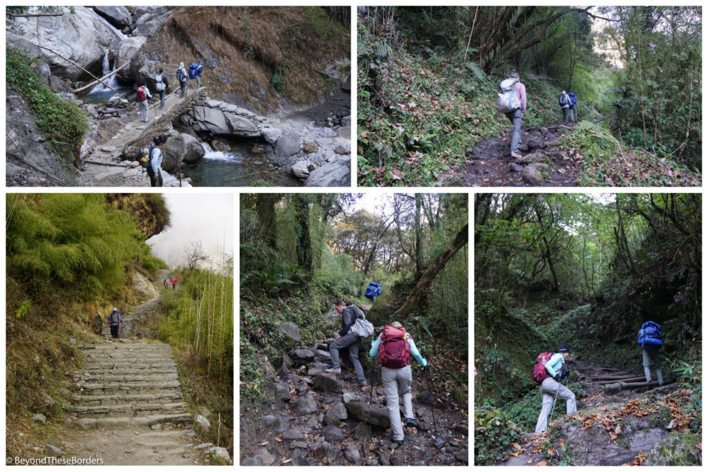 5 photos. 1:  View looking down on hikers crossing over a small bridge constructed of sticks and mud over a tiny waterfall and large rocks. 2:  Hikers walking up a muddy path into the trees. 3:  Stairs climbing up and around a hill. 4:  Hikers climbing up rocks along the path in the trees. 5:  Hikers going up zig zag stairs between the trees.
