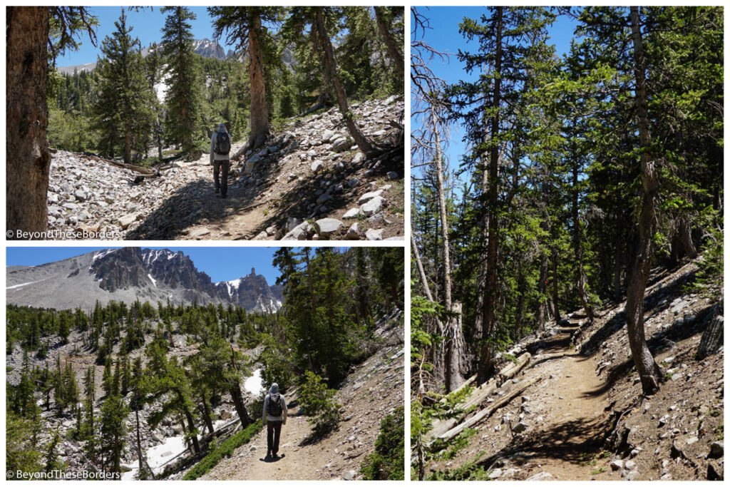 3 photos of the trail with loose trees sparsely surrounding it.  Loose rock along portions and high mountains in the background.