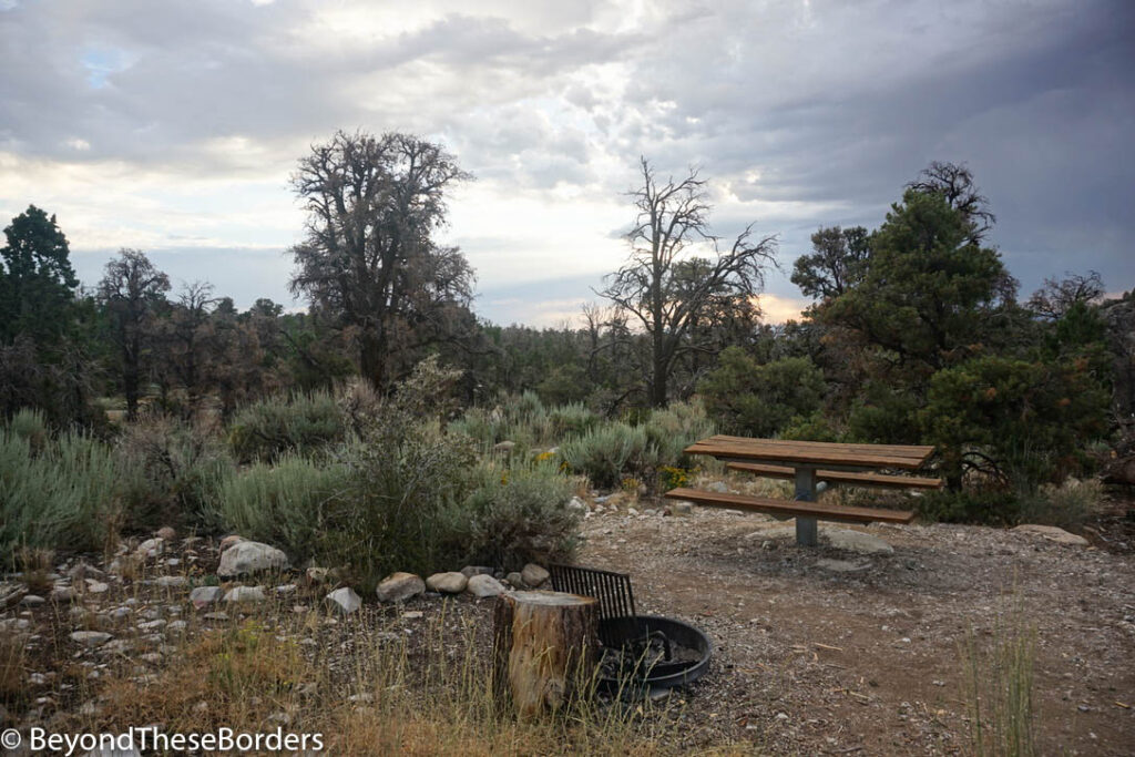 Picnic table and fire pit with desert shrubs and trees surrounding them.