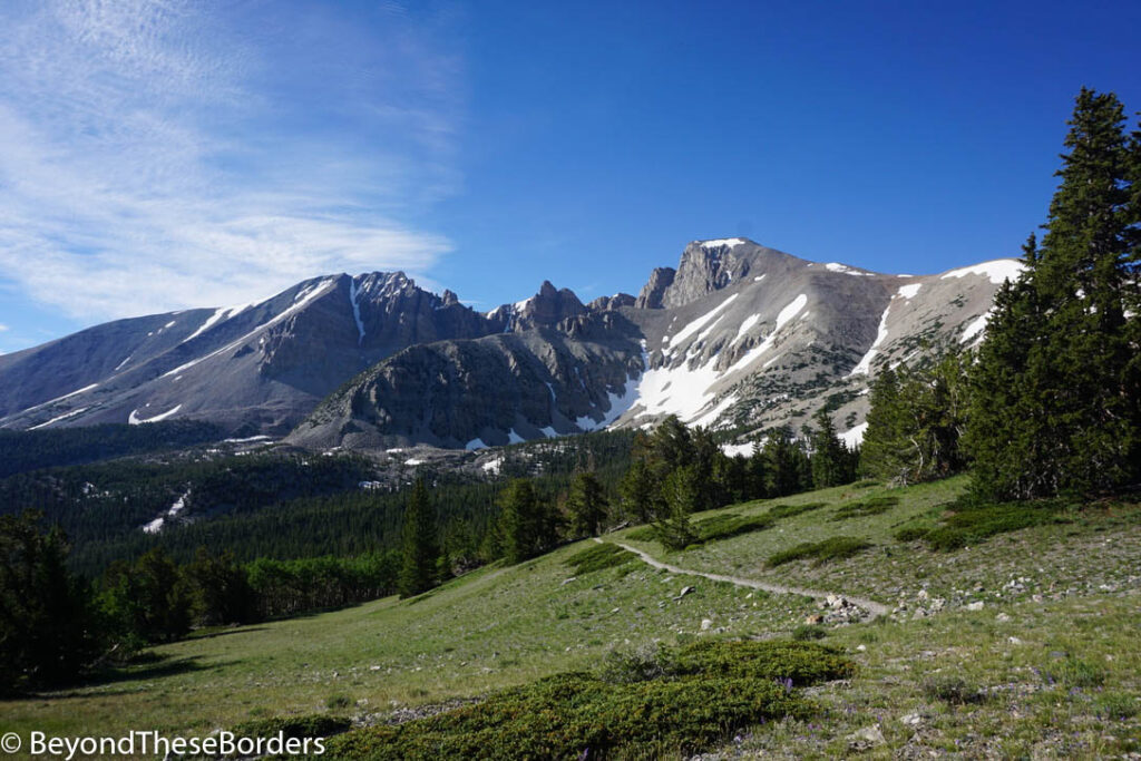 Green meadow with dark green pine forest in the distance.  Far off is the mountains of the Great Basin National Park.