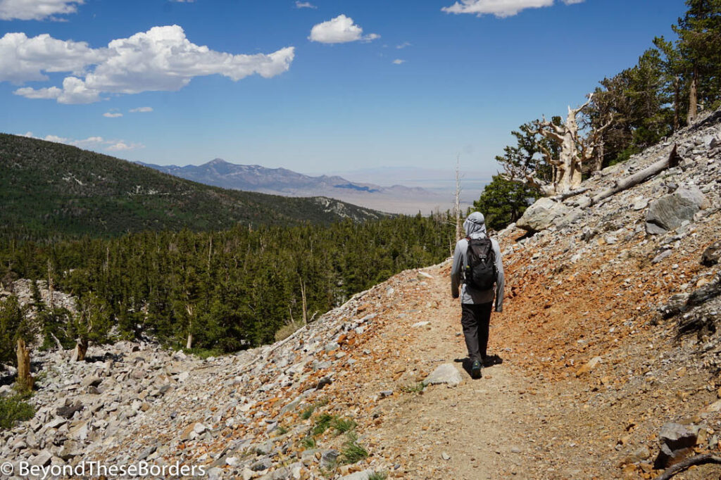 Hiking the exposed trail with a forest of pine trees below and a expansive view of the desert beyond.