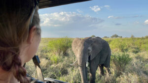 Our Incredible 8 Day Tanzania Safari