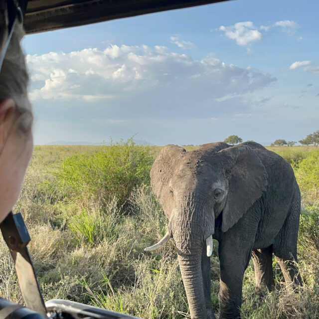 Our Incredible 8 Day Tanzania Safari